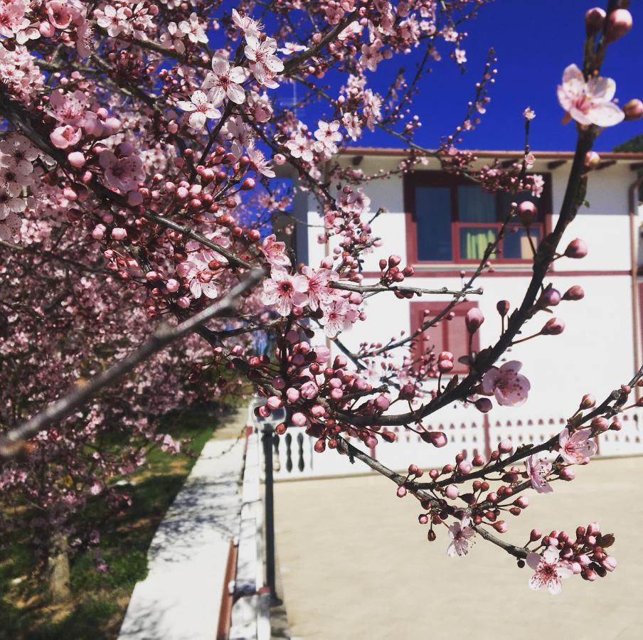 Il Profumo Della Natura B&B Oriolo Romano Εξωτερικό φωτογραφία